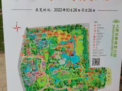 -上海共青森林公园