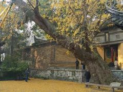 -无锡惠山寺
