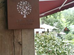 -Cafe In Little Forest