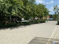 -大兴滨河森林公园