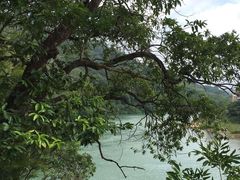 -广东温泉宾馆