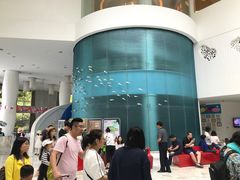 -深圳东部华侨城瀑布酒店