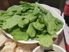 蒿子秆金针菇鲜豆皮-蝎王府羊蝎子(虎坊桥总店)