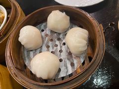 添运来虾饺皇-添运来(茶园奥园广场店)
