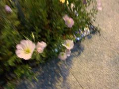 -多多旺港式茶餐厅(新区店)