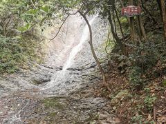 -华溪森林公园-售票处