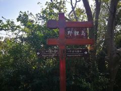 -野狸岛