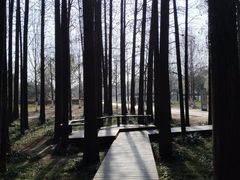 -采石矶景区