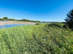 -野鸭湖国家湿地公园