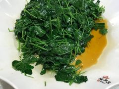 -阿英煲(凉城路店)