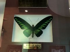 -上海昆虫博物馆