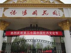 -洛阳国花园