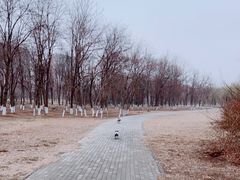 -东坝千亩湖公园