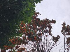 -高坎一品甲鱼庄(两河店)