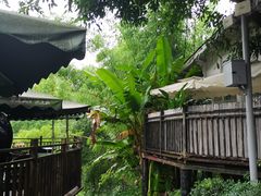 -五凤溪古镇