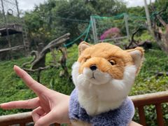 -广州长隆野生动物世界