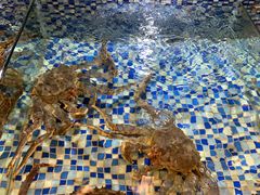 -顺德了能馆(虎门店)