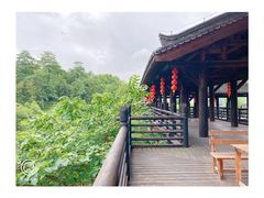 -大唐贡茶院