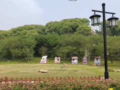 -苏州上方山国家森林公园