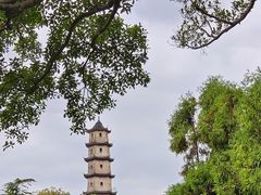 -江心屿景区