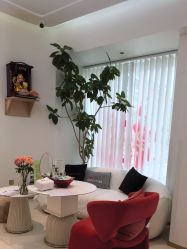 -WENDY·温迪皮肤管理