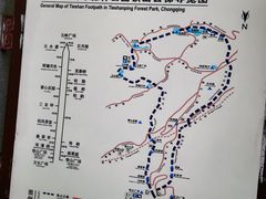 -铁山坪森林公园