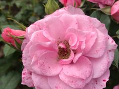 -绝味鸭脖(武昌火车站二店)