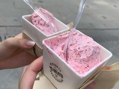 -野人先生现做冰淇淋(北京顺义祥云小镇店)