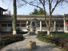 -朱家角课植园