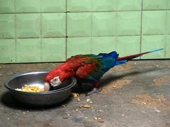 -石家庄市动物园