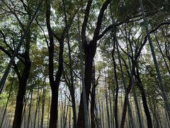 -同里国家湿地公园