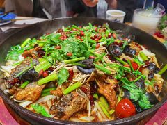 -雀舞云南菜(乐客城店)