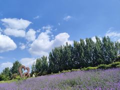 -紫颐香薰山谷景区