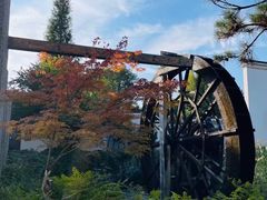 -观唐（国际）度假村温泉