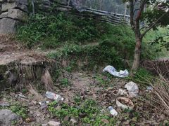 -丹山赤水风景名胜区
