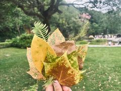 -神光山国家森林公园