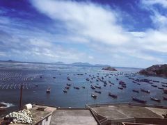 -枸杞岛