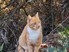 -敬亭山风景名胜区