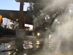 -思念果岭悦温泉