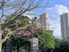 -文华公园(禅城区)