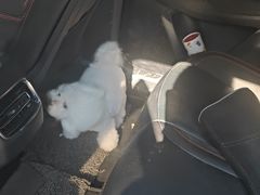 -它主义宠物(梁溪万达店)