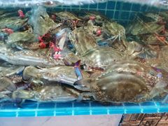 -蓝珊甄选海鲜自助·火锅大排档(近阿那亚店)