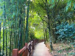 -广州市石门国家森林公园