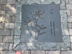 -广州神农草堂中医药博物馆