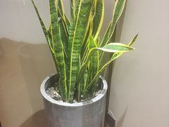 -宴昆山·私房菜(春晖店)