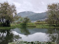 -和顺古镇