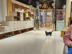 -藏猫猫咖啡主题馆(中央大道店)