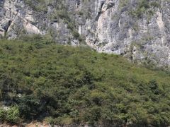 -乌江画廊(彭水苗族土家族自治县)