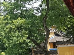 -涂山寺素食餐厅