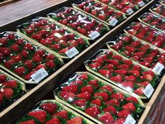 -果蔬好生活超市(乐堤港店)